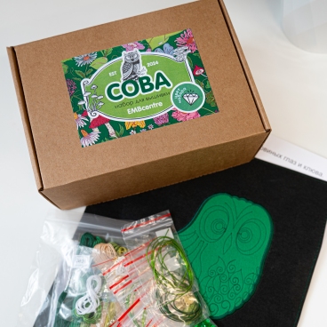 Набор материалов для вышивки к онлайн-курсу "Сова"  в зеленом цвете